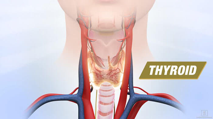 X-ray of the Thyroid